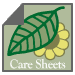 care sheets