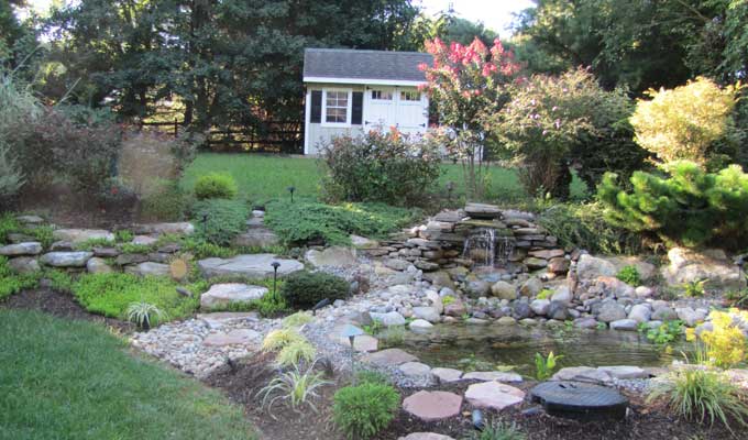 Pond and landscaping