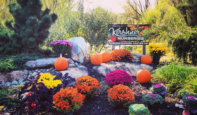 Fall colors at the Nursery